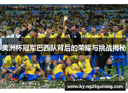 美洲杯冠军巴西队背后的荣耀与挑战揭秘